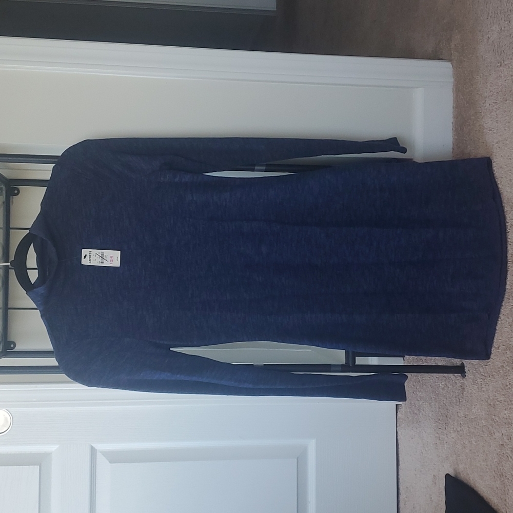Express mini dress
